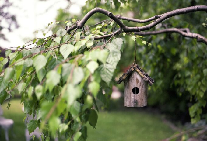 Vogelhaus zur Hochzeit – das perfekte Hochzeitsgeschenk